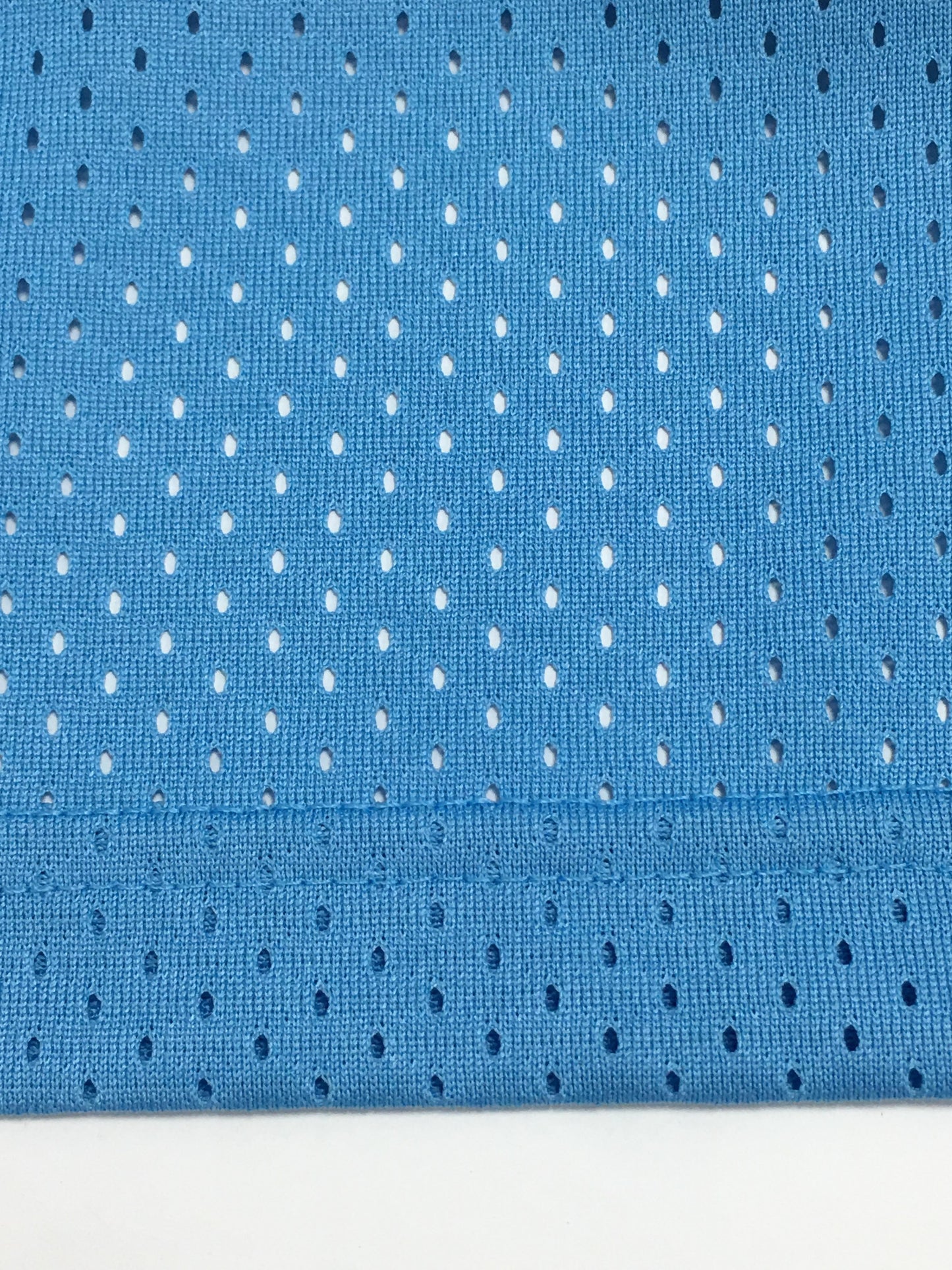 Eric Emanuel EE Basic North Carolina Shorts Blue